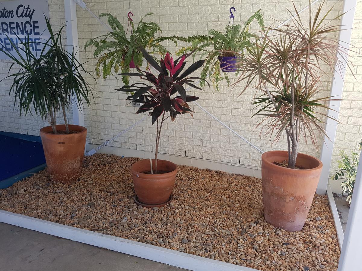 Y Motels Rockhampton Exterior photo